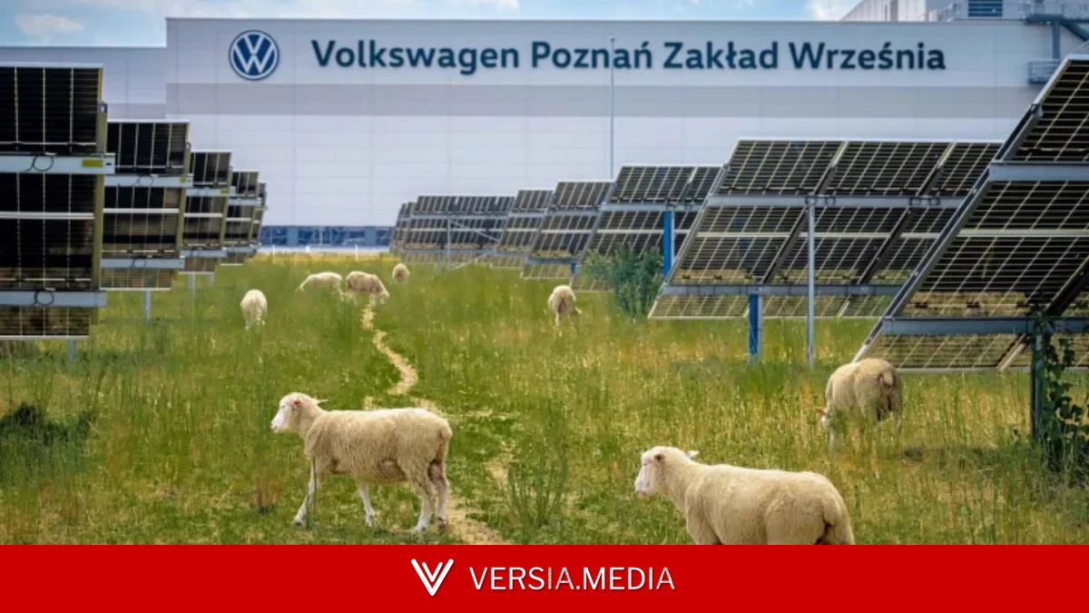 Por que a Volkswagen