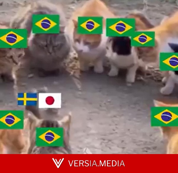 Japão x Suécia: veja memes do empate que definiu o próximo adversário do Brasil