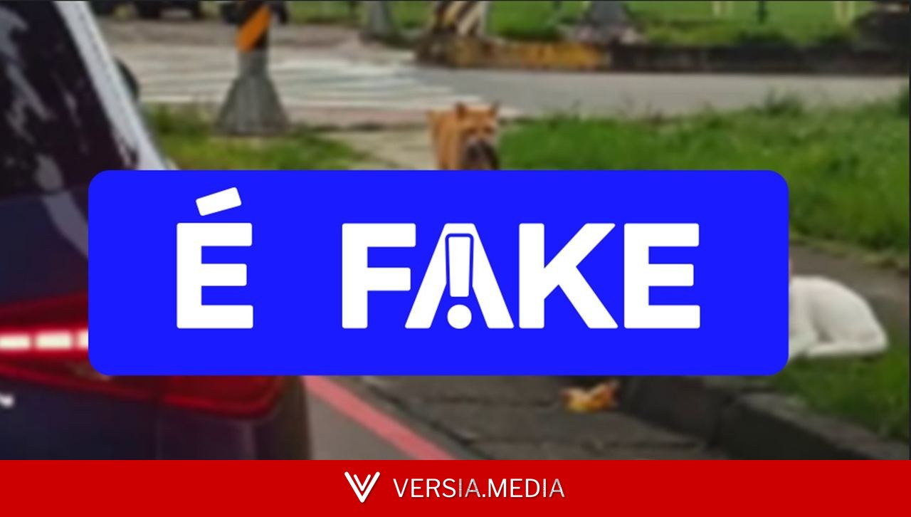 É #FAKE vídeo de gatinho flagrando 'traição'; cena foi gerada com inteligência artificial — Tech | Versia.media